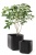 Кашпо Куб М (CUBE PLANTER M) 22 л.