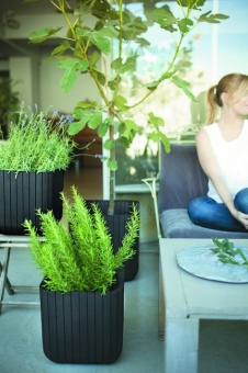 Кашпо Куб М (CUBE PLANTER M) 22 л.